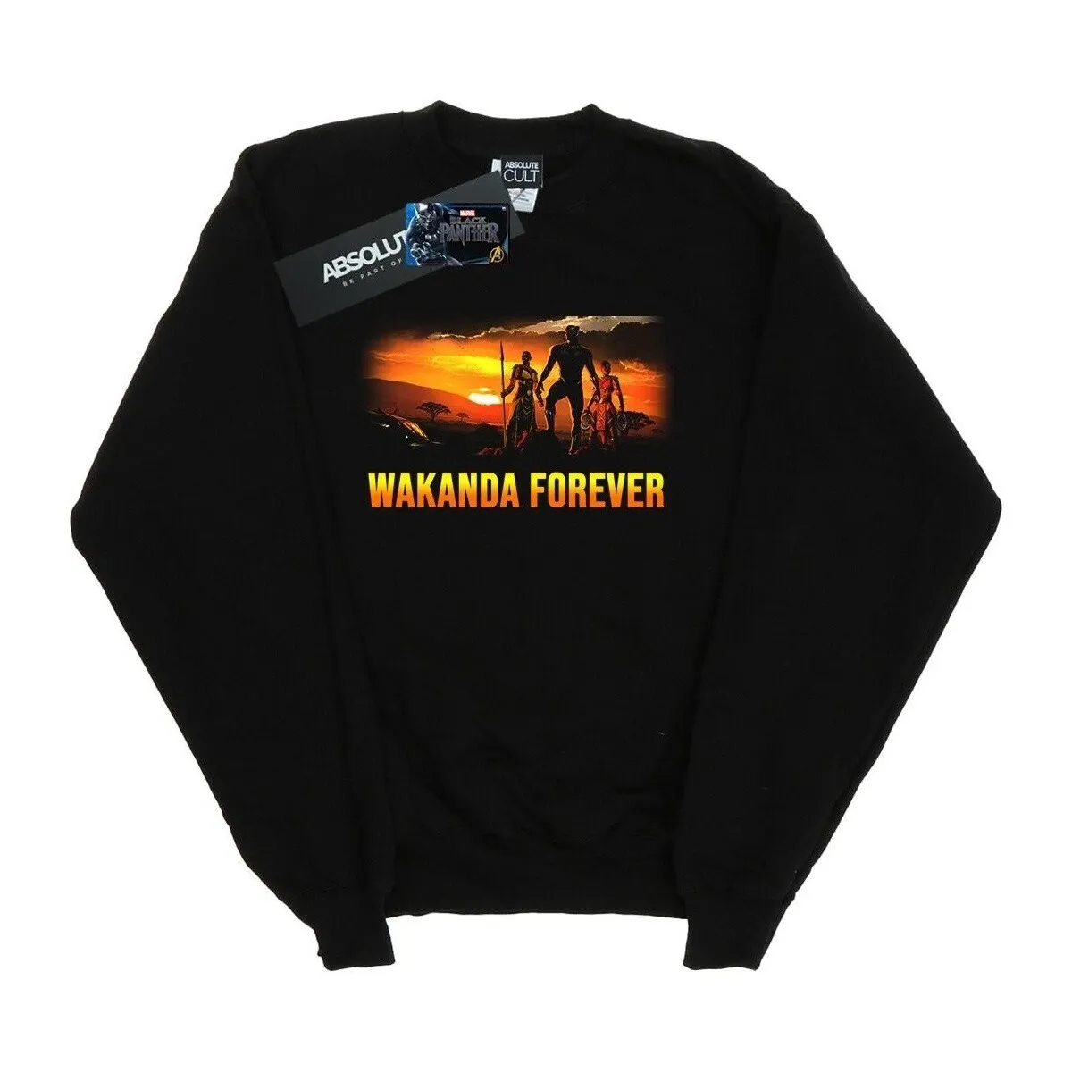 Black Panther Wakanda Forever