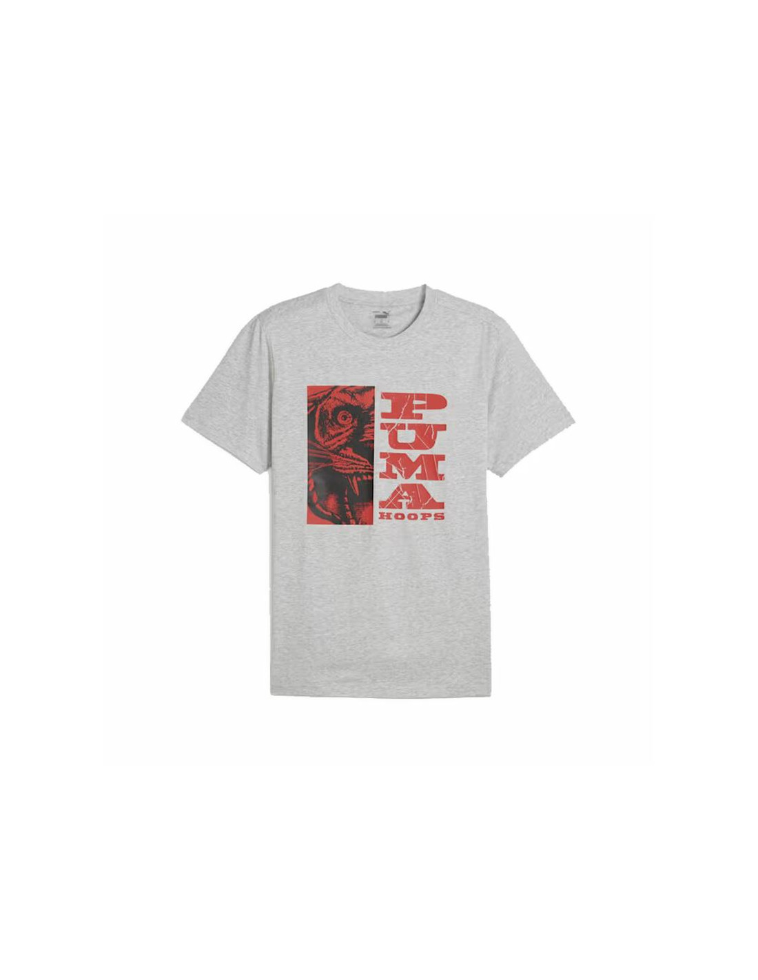 Camiseta de Baloncesto Puma The Hooper 3 Hombre Gris