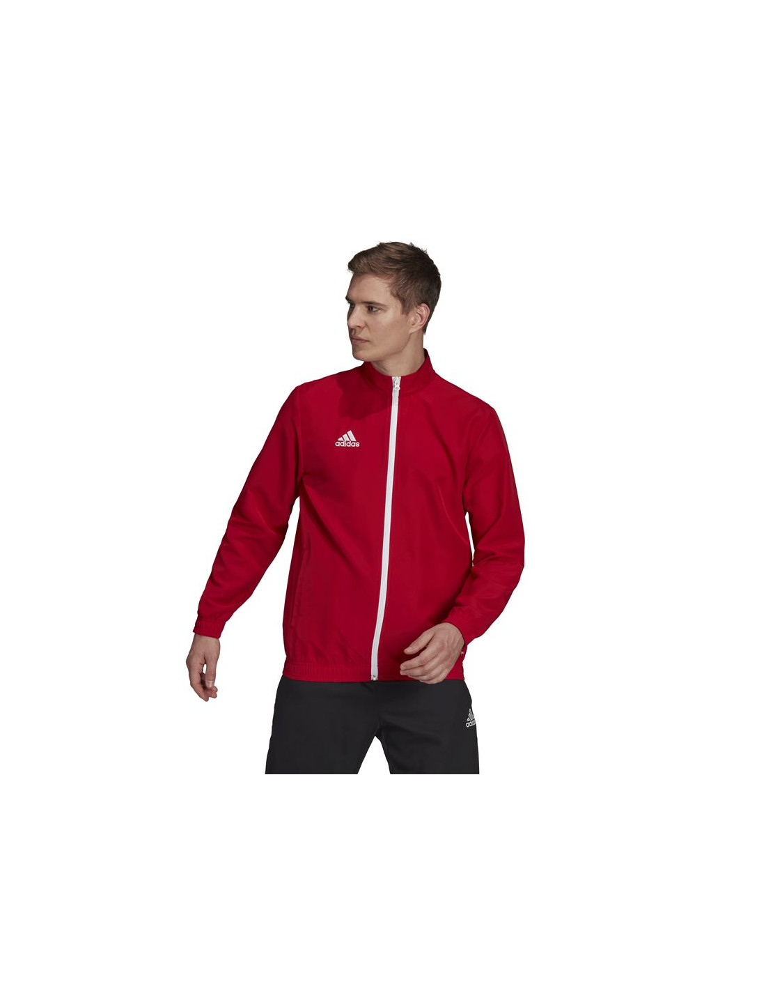 Chaqueta de fútbol adidas Entrada 22 M Red