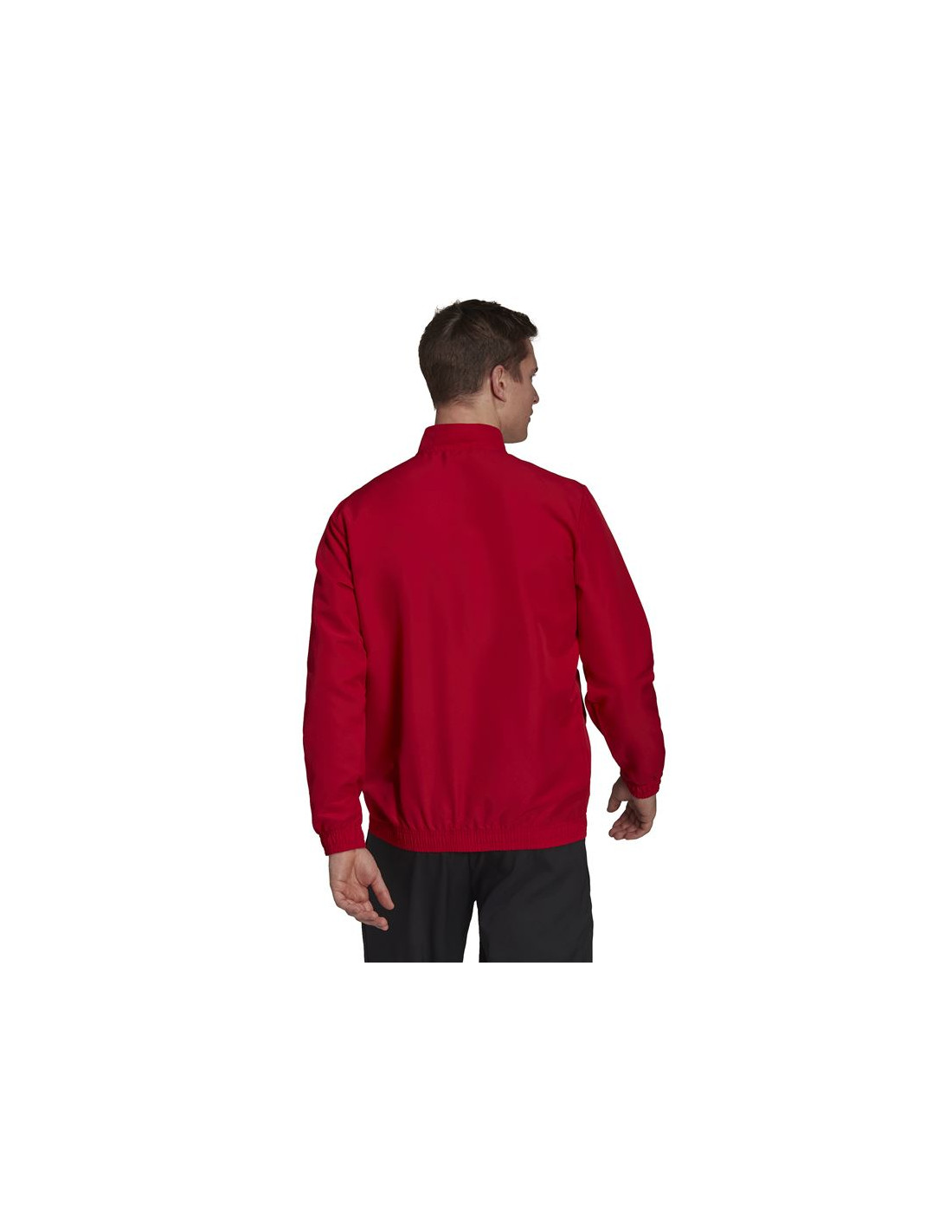 Chaqueta de fútbol adidas Entrada 22 M Red