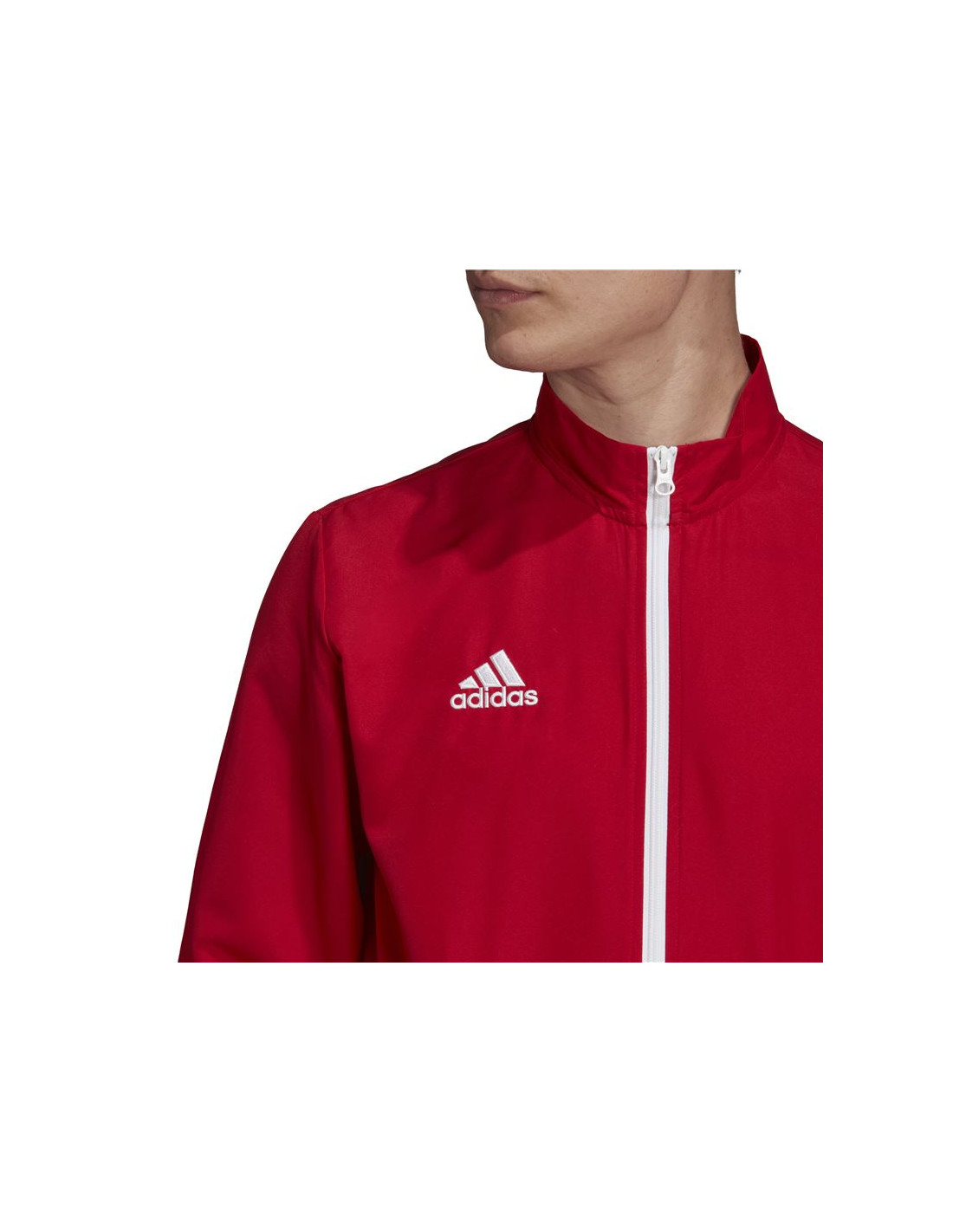 Chaqueta de fútbol adidas Entrada 22 M Red