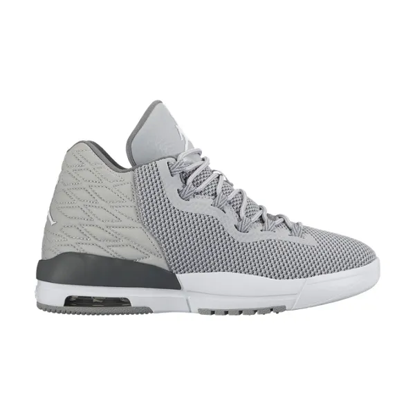 Jordan Academy GS "Wolf Cub" (003/wolf grey/white/cool grey)