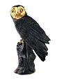 LECHUZA (NEGRODORADO)