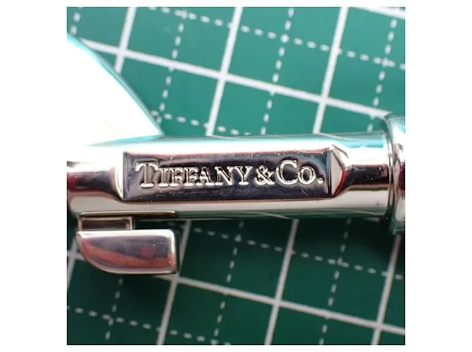 Tiffany & Co Tiffany Supreme 925 Regreso al llavero 