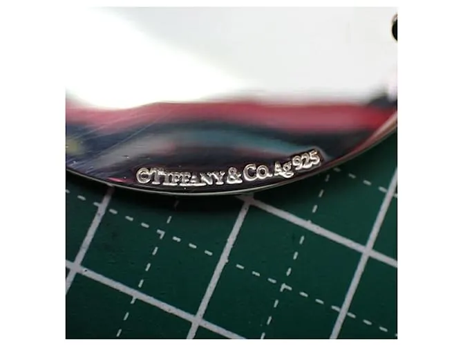 Tiffany & Co Tiffany Supreme 925 Regreso al llavero 